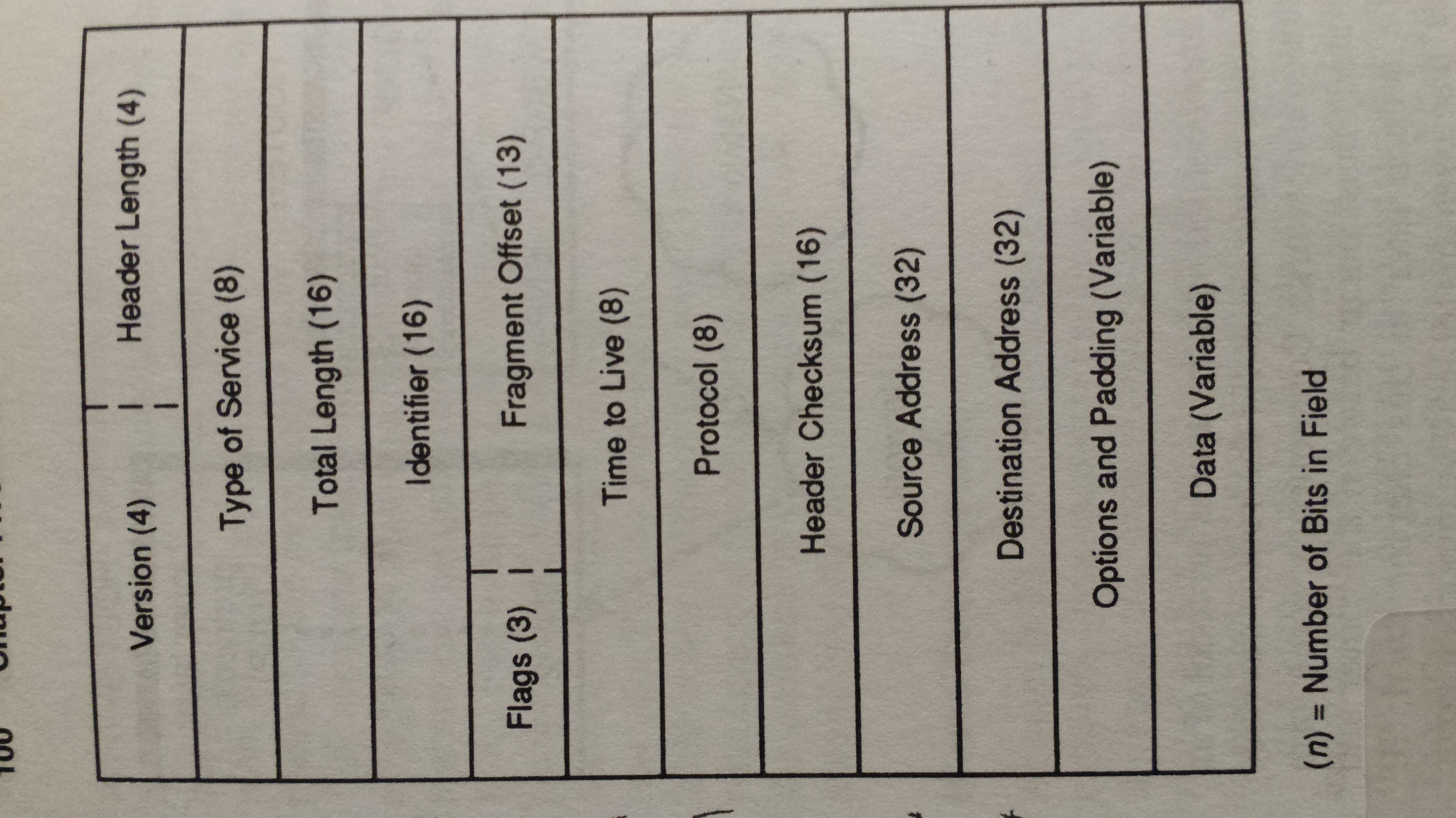 IP Datagram Layout